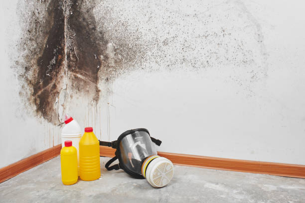 Crawl Space Mold Removal in Midland Park, NJ