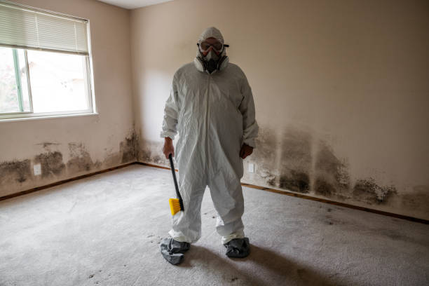 Mold Removal and Inspection in Midland Park, NJ